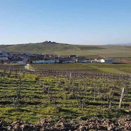 Les Perthois, Maison Avec Vue Sur Les Vignes 6 Pers