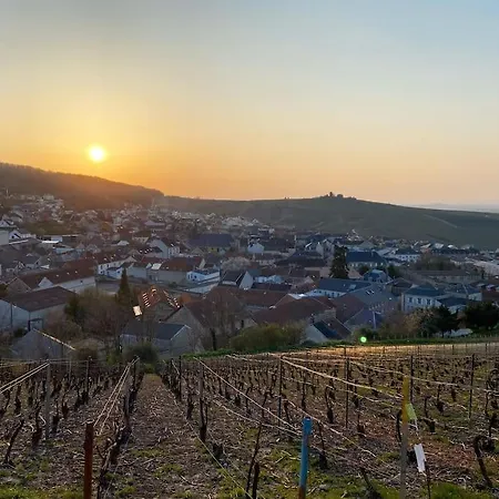 Les Perthois, Maison Avec Vue Sur Les Vignes 6 Pers