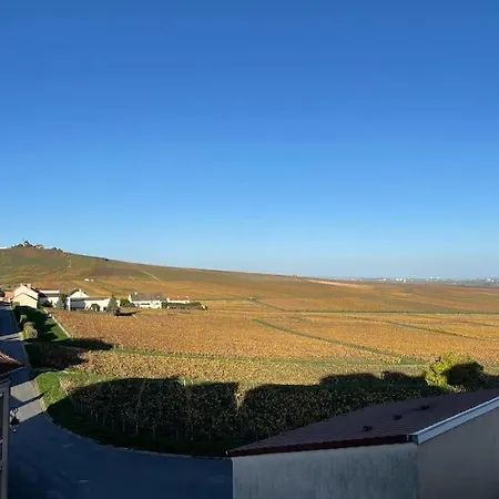度假居 Les Perthois, Maison Avec Vue Sur Les Vignes 6 Pers Verzenay