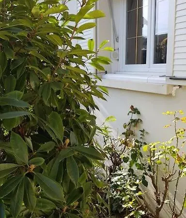 Les Perthois, Maison Avec Vue Sur Les Vignes 6 Pers *